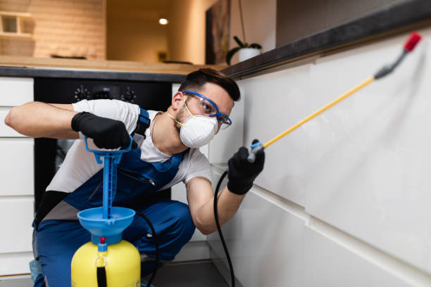 Best Pest Prevention Services  in Phillips, WI