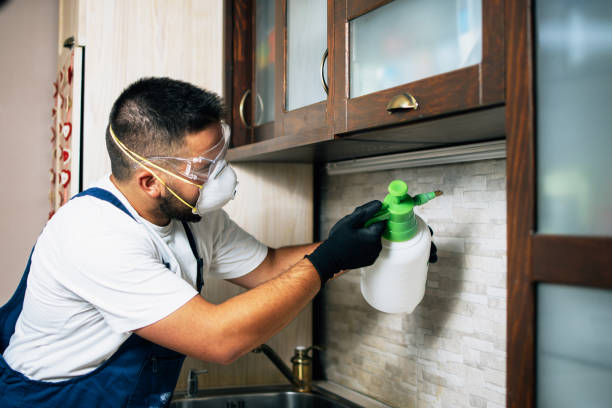 Best Best Pest Control Companies  in Phillips, WI