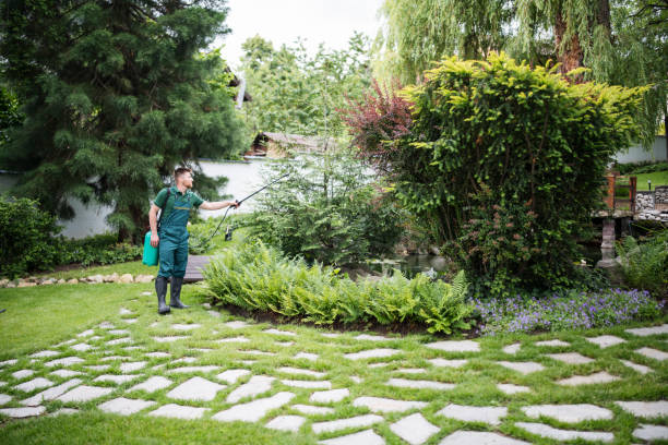 Best Emergency Pest Control  in Phillips, WI