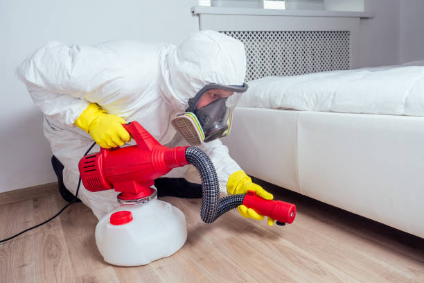 Wasp Removal Services in Phillips, WI