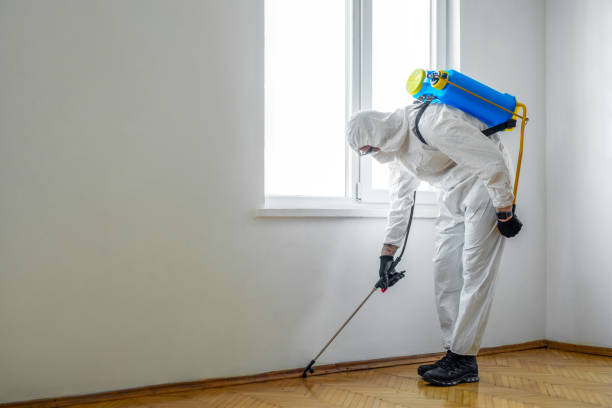 Professional Pest Control in Phillips, WI
